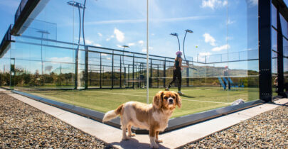 Scenic padel court with glass walls and a playful dog at a luxury hotel, offering sports amenities amid stunning views.